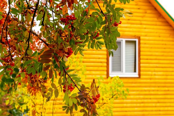 Garden Window Replacement in Kilgore